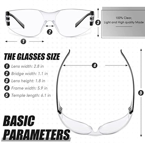 Safe Handler Safety Goggles